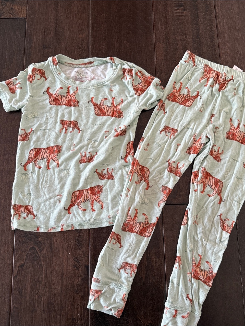Bamboo Mint Short-Sleeve Kids Pajama Set with Orange Tiger Print
